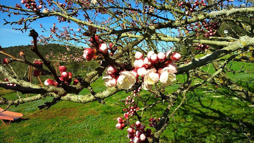 Agriturismo Podere Borgognano ماسا ماريتيما المظهر الخارجي الصورة