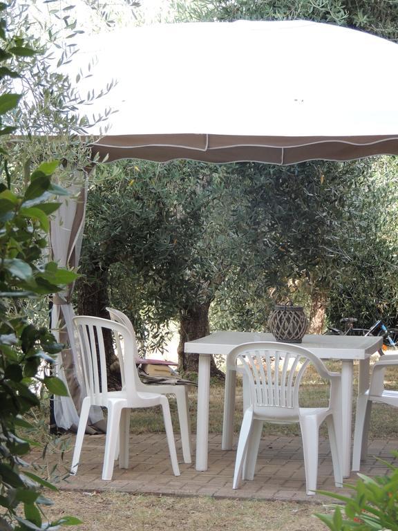 Agriturismo Podere Borgognano ماسا ماريتيما المظهر الخارجي الصورة