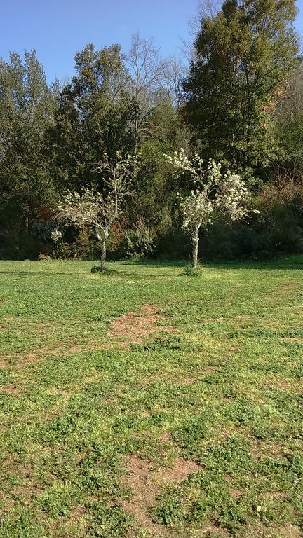 Agriturismo Podere Borgognano ماسا ماريتيما المظهر الخارجي الصورة
